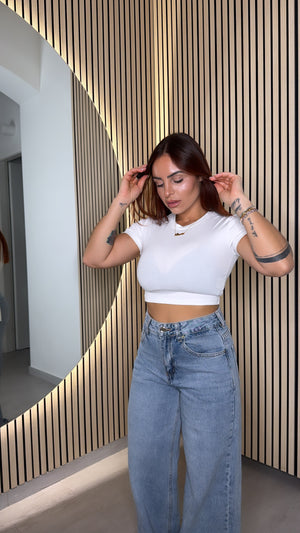 Crop BASIC